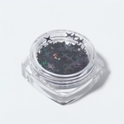 Пайетки для декора «Звёздная ночь», голографические, цвет чёрный - Фото 5