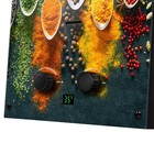 Колонка газовая Ballu GWH 10 Fiery Glass Curry, 20 кВт, настенная, черная - Фото 6