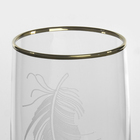 Набор стеклянных стаканов «Перо», 330 мл, 6 шт - фото 25383894