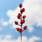 Штекер садовый «Ягодки», 20×4 см, 18×7 см, 15×6 см, 18×7 см, набор 9 шт. - Фото 2