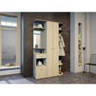 Прихожая «ВИЗА», 1210×2032×354 мм, цвет ясень шимо светлый - Фото 1