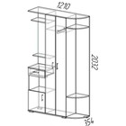 Прихожая «ВИЗА», 1210×2032×354 мм, цвет ясень шимо светлый - Фото 2
