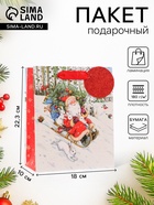 Пакет подарочный новогодний ламинированный «На санях», люкс, 18×22.3×10 см - Фото 1