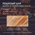 Кирпич из иранской горной соли, 20х10х5 см, цвет микс 9948235 - фото 13264770