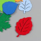 Декор для творчества "Листья из фетра и фоамирана" от 4,5 до 6 см  МИКС ((набор 10 шт) (комплект 2 шт) - фото 25369449