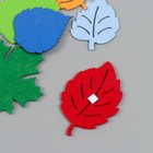 Декор для творчества "Листья из фетра и фоамирана" от 4,5 до 6 см  МИКС ((набор 10 шт) (комплект 2 шт) - фото 25369450