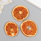 Декор для творчества "Сушеные апельсины"  цвет оранжевый, 5 см (набор 3 шт) (комплект 2 шт) - фото 25369462 Декор для творчества "Сушеные апельсины"  цвет оранжевый, 5 см (набор 3 шт) (комплект 2 шт) - фото 25369462