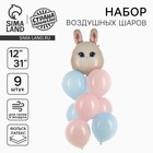Воздушные шары, букет «Зайка», набор 9 шт. - Фото 1