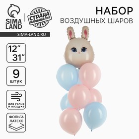 Шары воздушные, набор «Зайка», фольга, латекс, 9 шт. 10660806