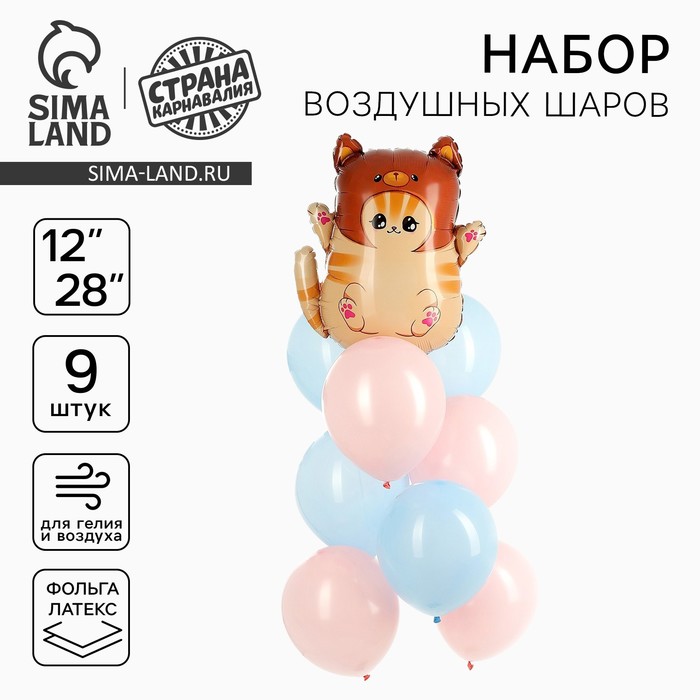 Воздушные шары, букет «Котик в шапке», набор 9 шт. - Фото 1