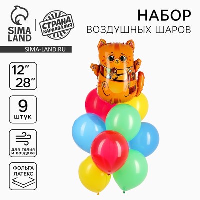 Воздушные шары, букет «Котик-волшебник», набор 9 шт.