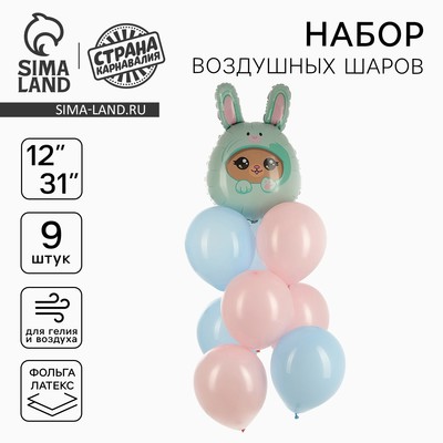 Воздушные шары, букет «Мишка в зайке», набор 9 шт.