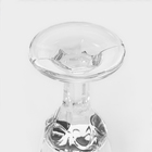 Набор стеклянных рюмок, 10 мл, d=3 см, h=6 см, 6 шт - фото 25399338