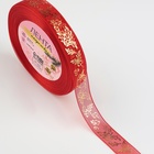 Лента капроновая с тиснением «Омела», 15 мм, 23±1 м, красная - Фото 2