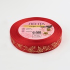 Лента капроновая с тиснением «Омела», 15 мм, 23±1 м, красная - Фото 3