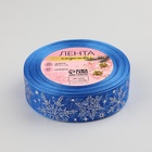 Лента капроновая с тиснением «Фигурные снежинки», 25 мм × 23 ± 1 м, цвет синий/серебряный - Фото 3