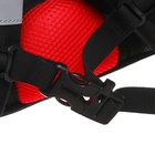 Ранец школьный Стандарт, 33 х 25 х 13 см, Grizzly, + мешок для обуви, чёрный - фото 25409425