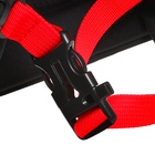 Рюкзак каркасный 36 х 28 х 20 см, Grizzly, чёрный/красный - фото 25409441