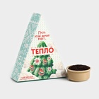 Чай новогодний чёрный «Пусть будет тепло» вкус: яблочный штрудель, 100 г - Фото 3