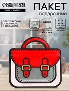 Пакет подарочный, «Портфель», с zip-lock застежкой, 20×19+6 см - Фото 1