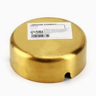 Пепельница «Медведь», 8 х 3 см 10212735