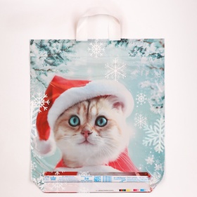 Пакет подарочный новогодний «Пушистое ожидание», полиэтиленовый с петлевой ручкой, 42?38 см (комплект 50 шт)