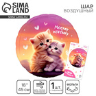 Воздушный шар фольгированный 18" «Моему котёнку», круг, с подложкой - Фото 1
