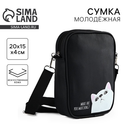 Сумка на ремешке «Что смотришь?», 15×5×21 см