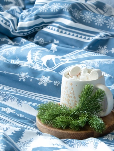 Постельное бельё евро «Этель» Scandi dream, бязь