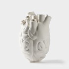 Ваза декоративная «Анатомия» для цветов и сухоцветов, 14 х 20 см - фото 25421014