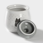 УЦЕНКА Набор сервировочный Доляна «Уютные коты», 2 предмета: молочник 270 мл, сахарница 310 мл 10724651