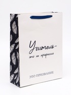 Пакет подарочный ламинированный вертикальный «Учителю», 31×40×11.5 см - Фото 1