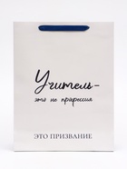 Пакет подарочный ламинированный вертикальный «Учителю», 31×40×11.5 см - Фото 4