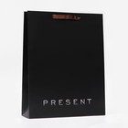 Пакет ламинированный вертикальный «Present», 33 х 42 х 10 см - фото 12154930