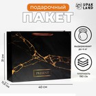 Пакет ламинированный горизонтальный «Present», 40 х 31 х 11,5 см - Фото 1