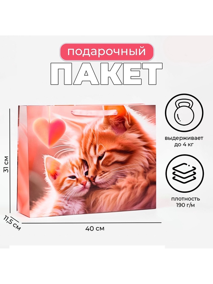 Пакет подарочный ламинированный горизонтальный «Котики», 40×31×11.5 см - Фото 1