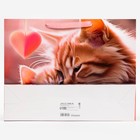 Пакет подарочный ламинированный горизонтальный «Котики», 40×31×11.5 см - Фото 2