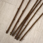 Дерево искусственное "Кротон" 110 см - фото 809103710