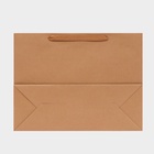 Пакет крафт без печати, 50×38×18 см 210 г - Фото 3