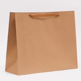 Пакет крафт без печати, 53?43.5?18 см 210 г (комплект 2 шт)