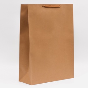 Пакет крафт без печати, 50?70?20 см, 210 г/м? (комплект 2 шт)