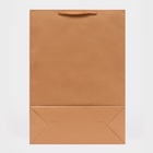 Пакет крафт без печати, 50?70?20 см, 210 г/м? (комплект 2 шт) - фото 63605691
