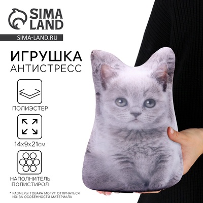Антистресс игрушка «Котёнок серый»