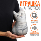 Антистресс игрушка, кот "Вискас" 10590578 - фото 3903754