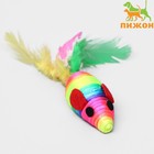 Мышь разноцветная с перьями, 5 см, радужная - Фото 1