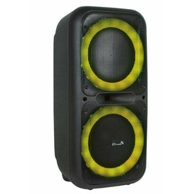 Колонка 12" (20-05 DANCE BOX 500) динамик 2шт/12" ELTRONIC с TWS