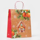 Пакет бумажный подарочный новогодний крафт «Пряничный домик» 18×22.3×10 см - Фото 2