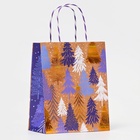 Пакет бумажный подарочный новогодний крафт «Волшебного нового года», с тиснением, 18×22.3×10 см - Фото 3