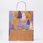 Пакет бумажный подарочный новогодний крафт «Волшебного нового года», с тиснением, 18×22.3×10 см - Фото 4