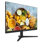 Монитор Hikvision 23.8" DS-D5024FN11 черный TFT LED 5ms 16:9 HDMI матовая 250cd 178гр/178гр 106691 - фото 51631757 Монитор Hikvision 23.8" DS-D5024FN11 черный TFT LED 5ms 16:9 HDMI матовая 250cd 178гр/178гр 106691 - фото 51631757